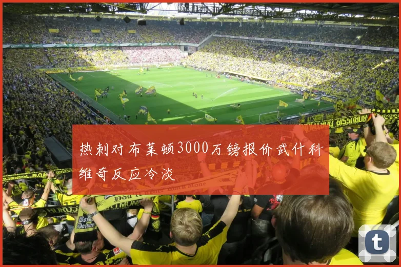 热刺对布莱顿3000万镑报价武什科维奇反应冷淡